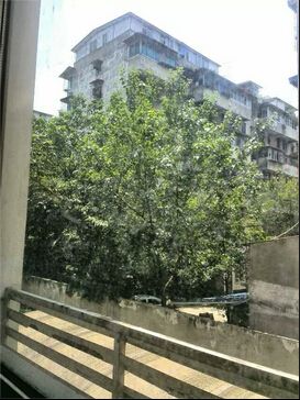 QQ截图20140725150758_jpg