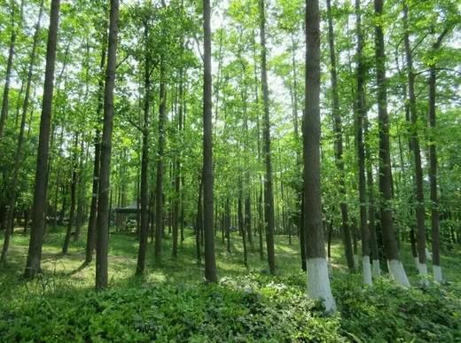 2345截图20150418110047_jpg