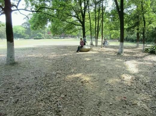 2345截图20150418110037_jpg