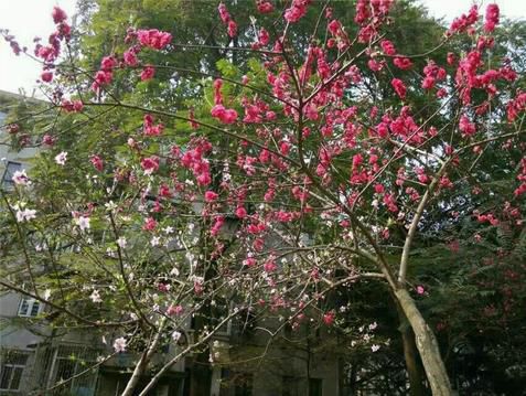 2345截图20150313084900_jpg