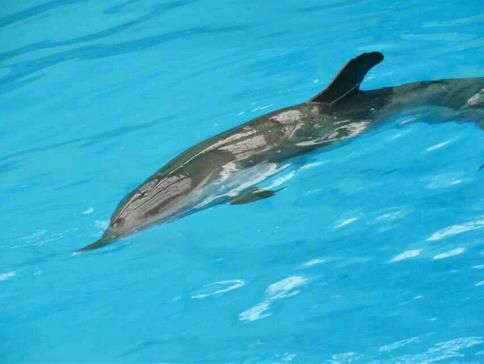 2345截图20150124191617_jpg