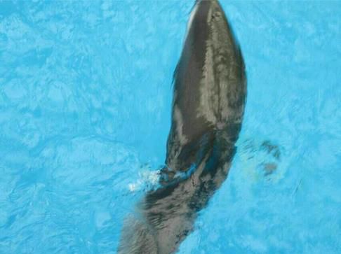 2345截图20150124191625_jpg