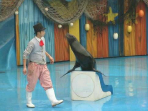 2345截图20150124191734_jpg