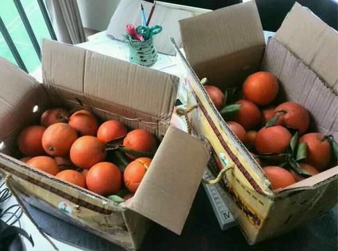 2345截图20150109102107_jpg