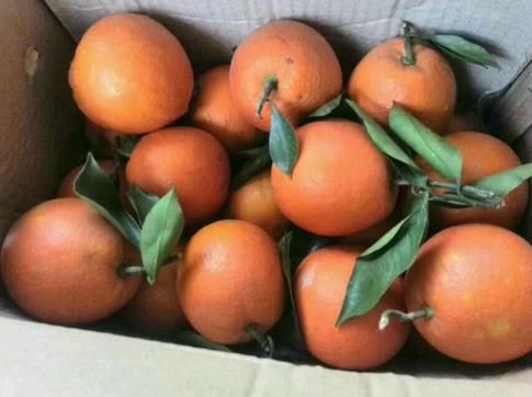 2345截图20150109102124_jpg