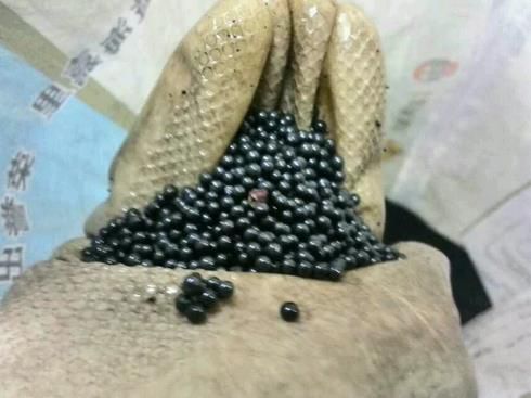 2345截图20141128091925_jpg