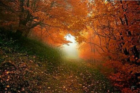 2345截图20141121212933_jpg