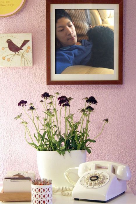 QQ图片20151127122447_副本_jpg