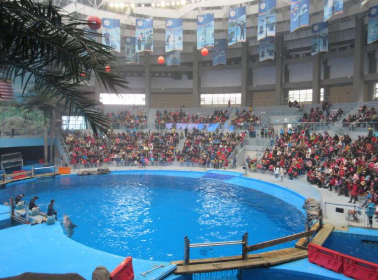 2015年海昌极地海洋世界活动3_jpg