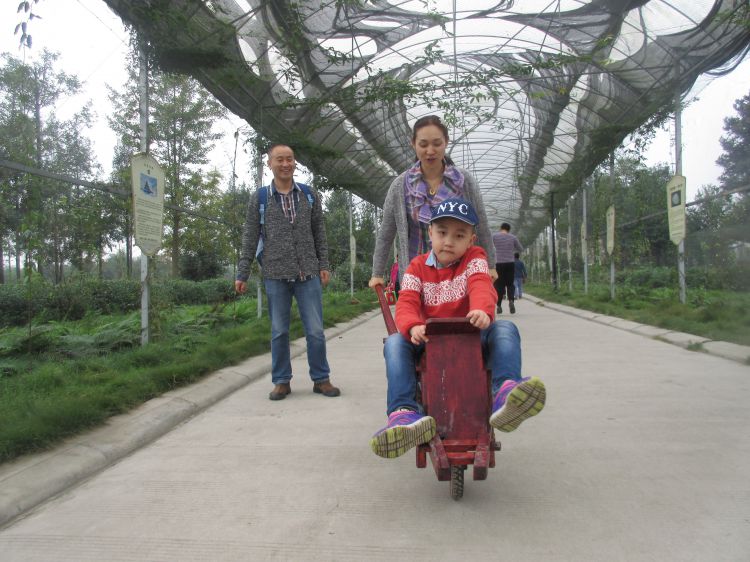 2015年田园牧歌亲子游1_JPG