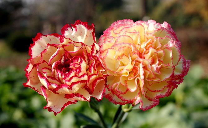 68c0bec3hbb6c13b7ac5f690_jpg