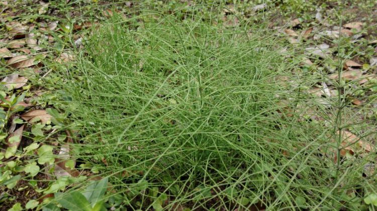 QQ图片20160625011012_jpg