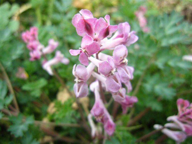 QQ图片20160625011206_jpg