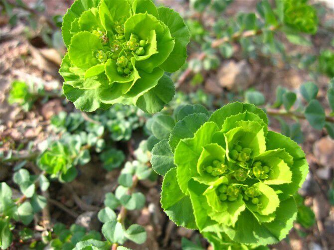 QQ图片20160625011211_jpg