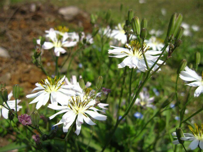 QQ图片20160625011220_jpg