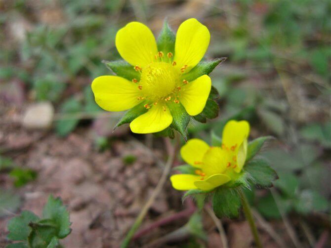 QQ图片20160625011226_jpg