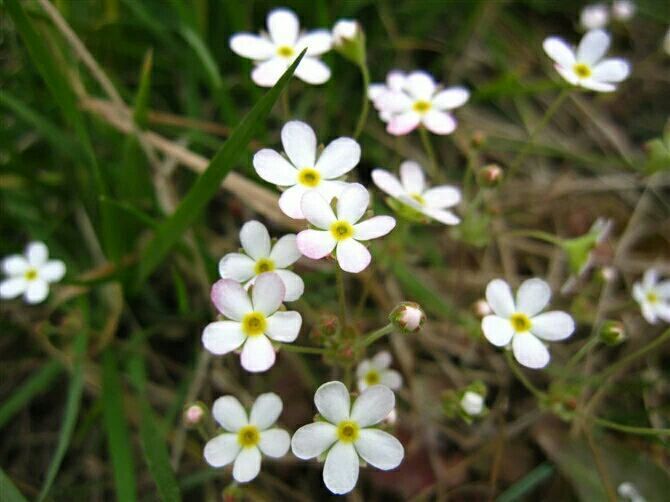 QQ图片20160625011232_jpg