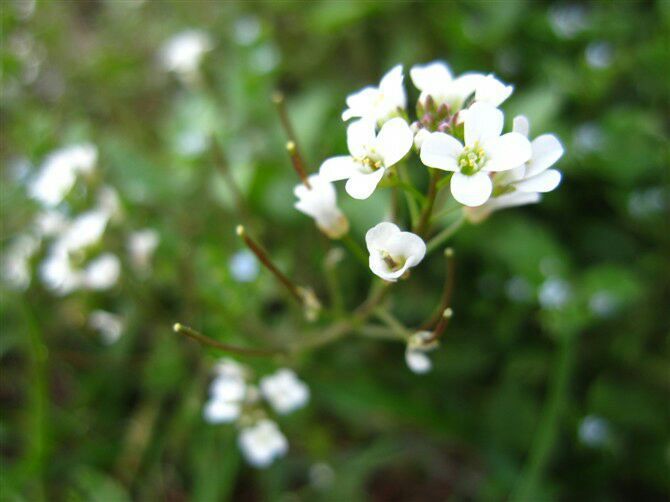 QQ图片20160625011238_jpg