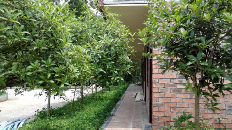 QQ图片20160625011034_jpg