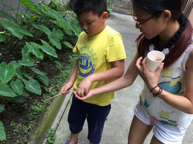 QQ图片20160712182434_jpg