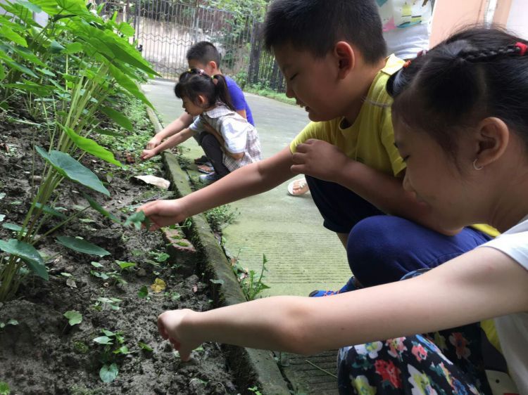 QQ图片20160712182442_jpg