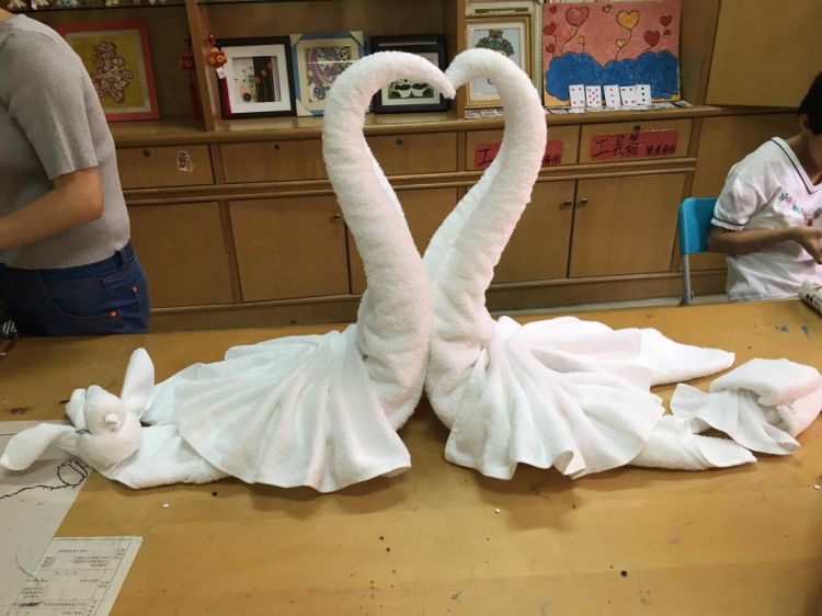 540432702396270214_jpg