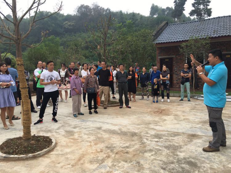 59734807509415529_jpg