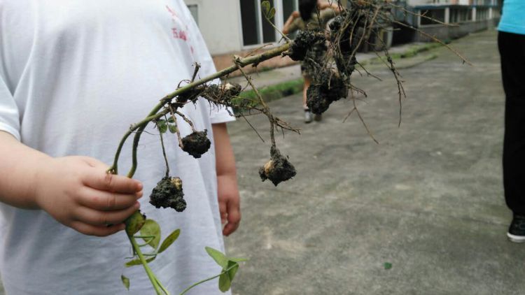 QQ图片20160929220037_jpg