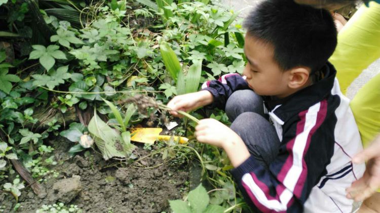 QQ图片20160929220049_jpg