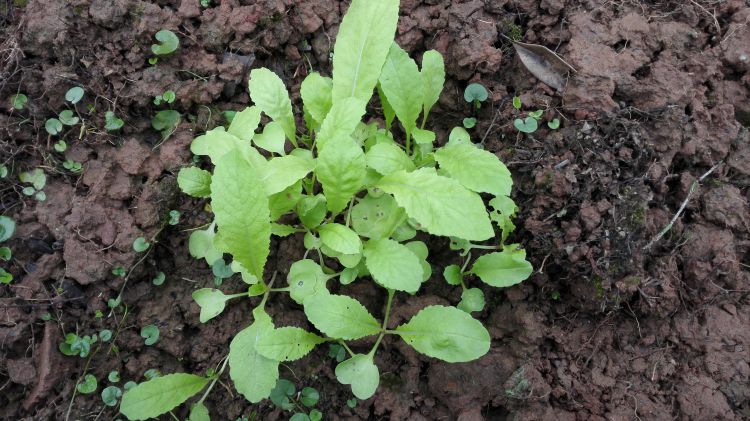 364460892824922809_jpg