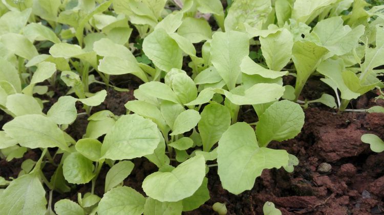 428714349286550644_jpg