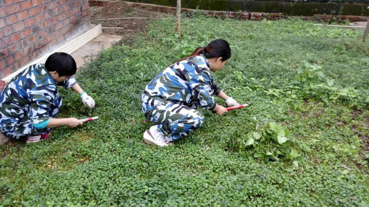 407050966353955214_jpg