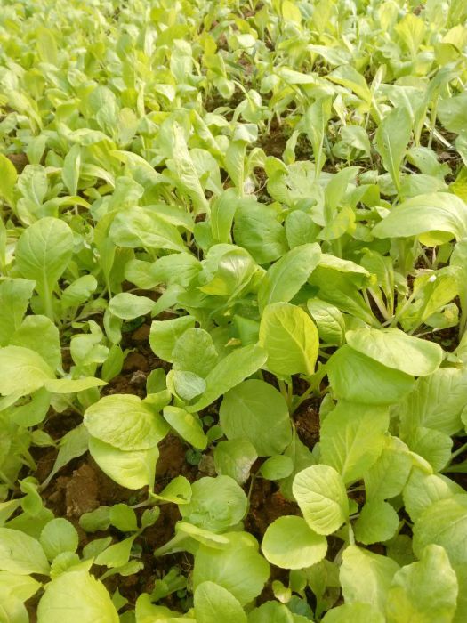 481999247700427568_jpg