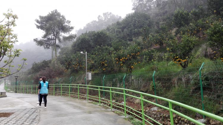 QQ图片20161021160934_jpg