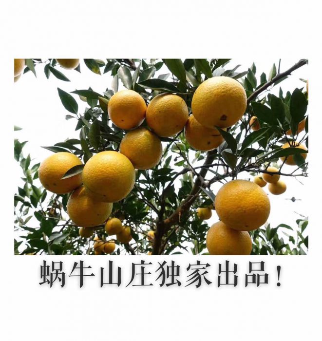 98115930457141927_jpg