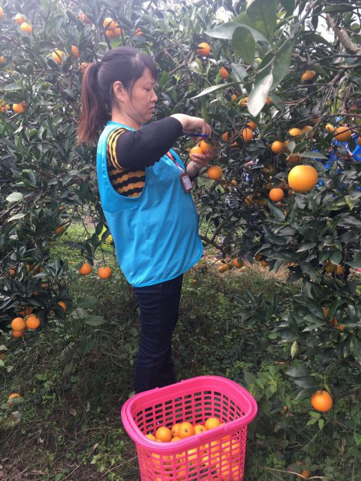 453486461206850244_jpg