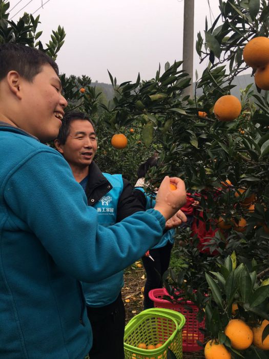 534308369841957094_jpg