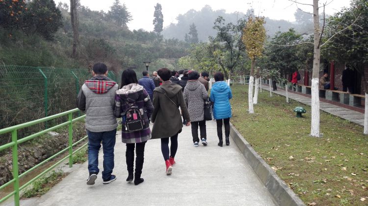 QQ图片20161204205302_jpg