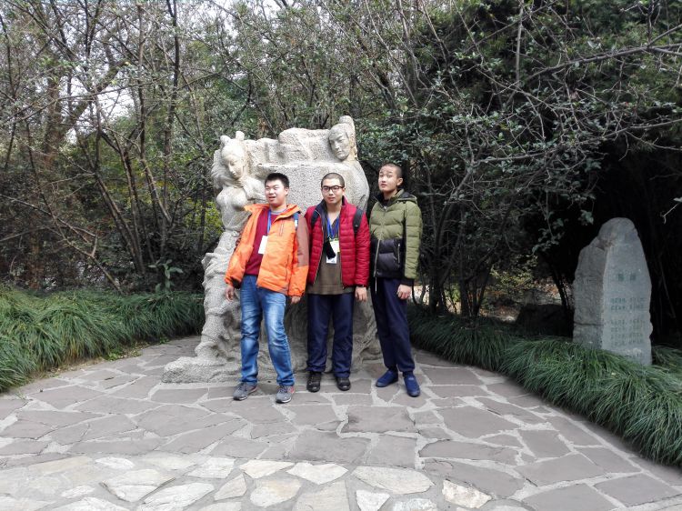 IMG_20161213_113736_jpg