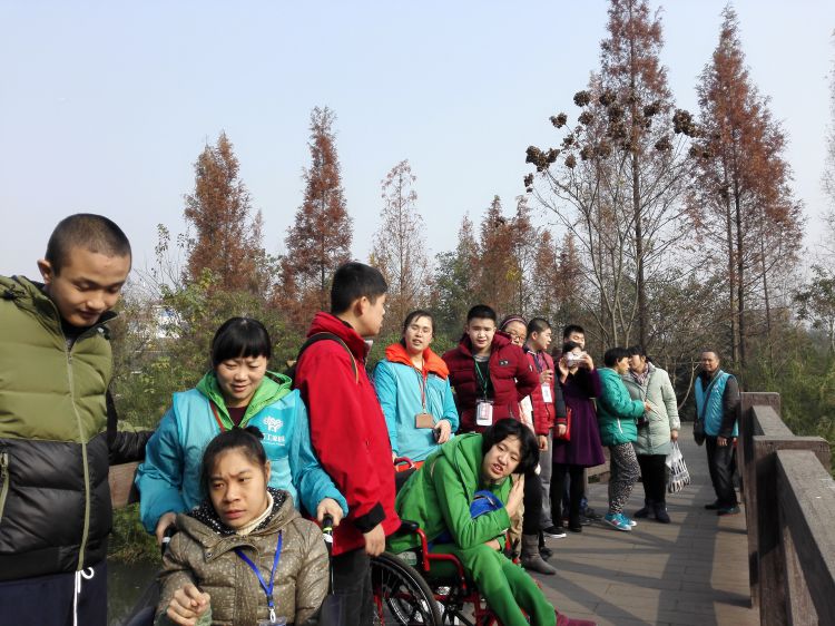 IMG_20161213_110120_jpg