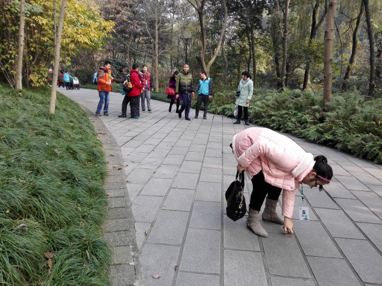 IMG_20161213_112911_jpg