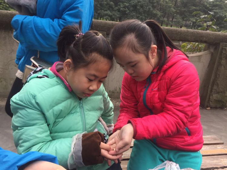 3787697786486834_jpg