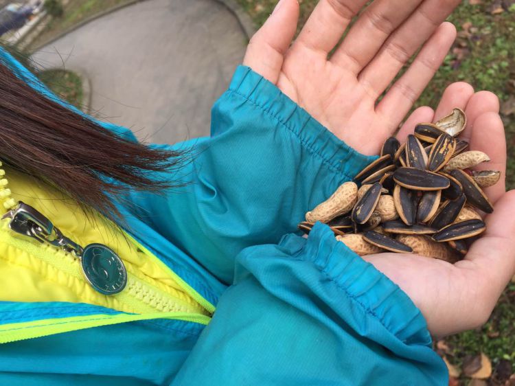 588518260862478923_jpg