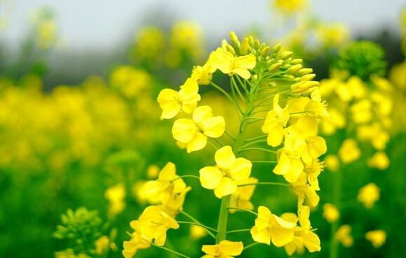 QQ截图20170311190701_jpg