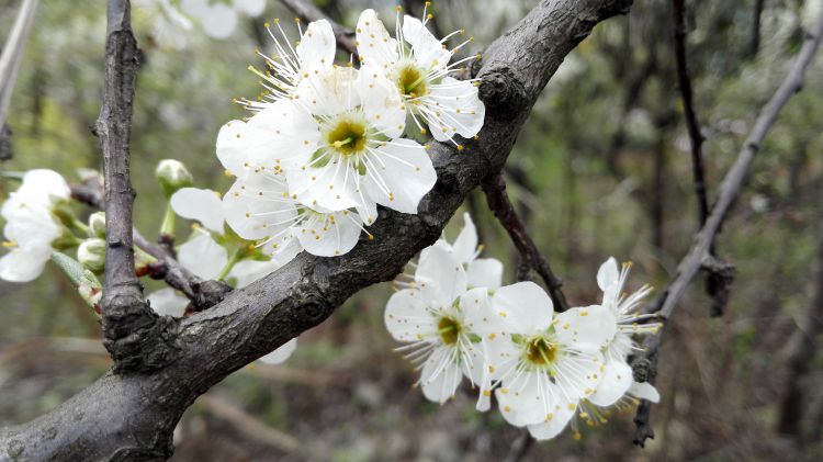 QQ图片20170326201856_jpg