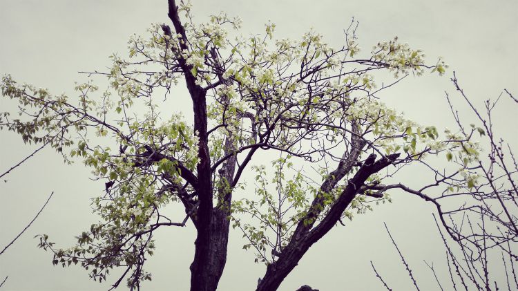 QQ图片20170326201911_jpg