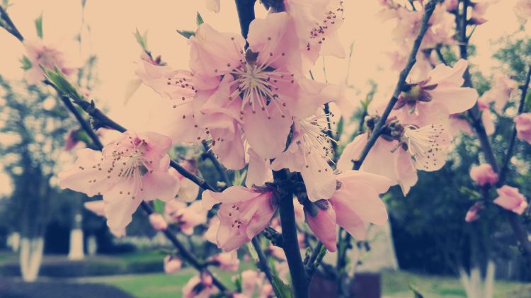 QQ图片20170326201925_jpg