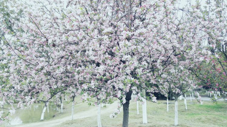 QQ图片20170326201930_jpg