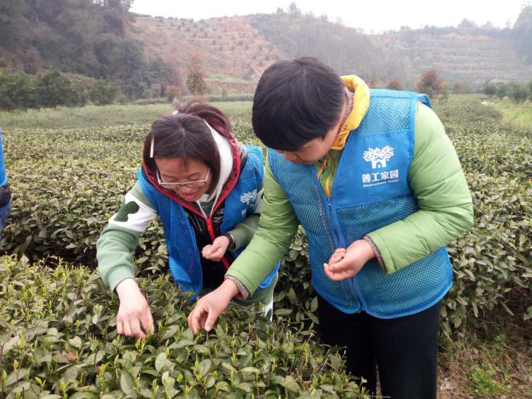 微信图片_20170402183758_jpg