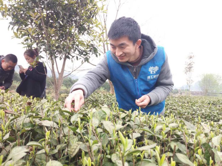 微信图片_20170402183832_jpg